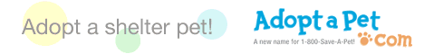 Adopt-a-Pet
